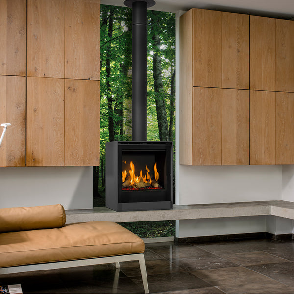 Barbas Box Gas 55 Free Standing Gas Fire