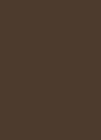 Brown Bronze
